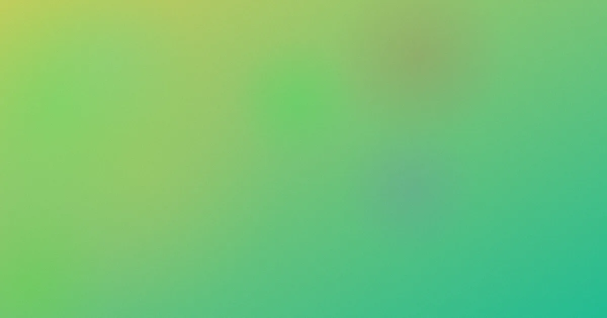 红娘推荐：新手怎么选